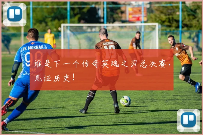 谁是下一个传奇英魂之刃总决赛，见证历史！