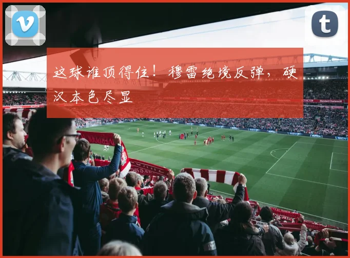 这球谁顶得住！穆雷绝境反弹，硬汉本色尽显