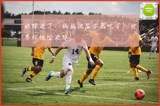 这球进了，我就把显示器吃了！世界杯惊险进球！